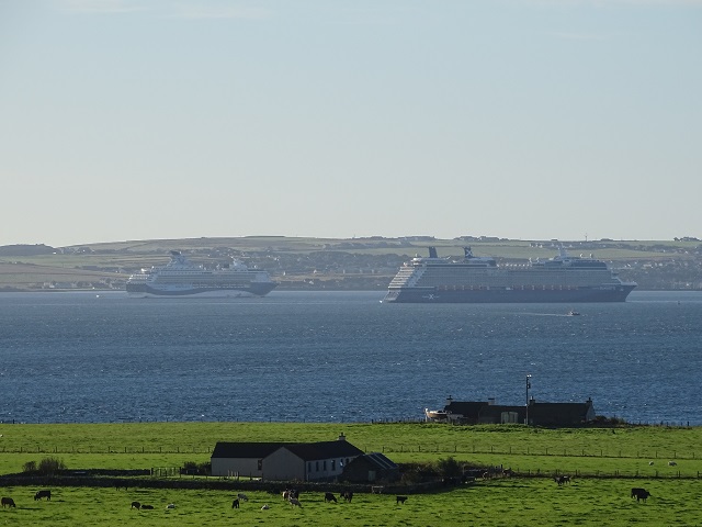 Cruising During The #Covid Pandemic