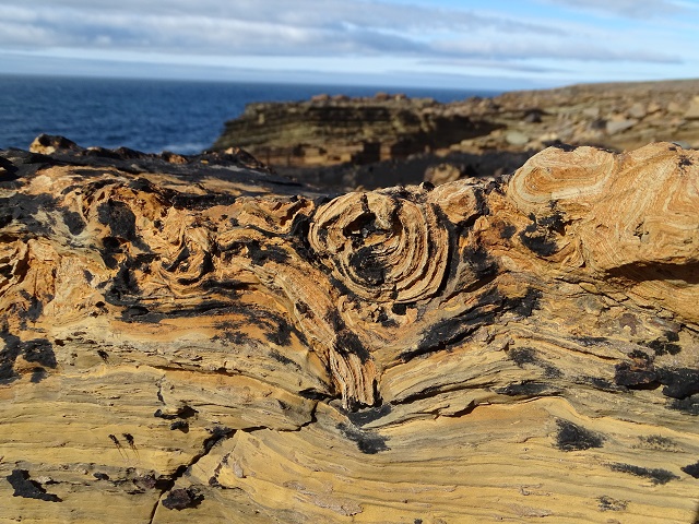 Week Thirty-six – One Day At A Time