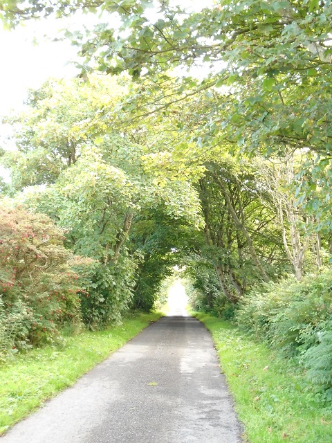 Breck to Bu and Back Again