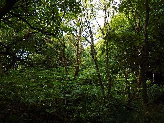 Multiple impacts set back oxygen build-up in the Archaean