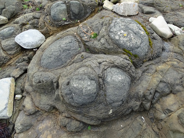 Weather Forecast: Sunny spells. Scattered afternoon showers.