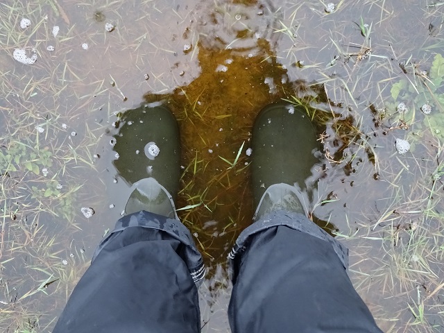 Weather Forecast: Outbreaks of rain today.