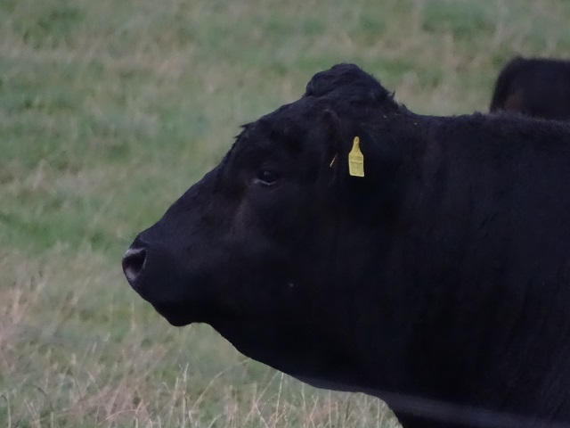 Week Forty-One – One Day At A Time