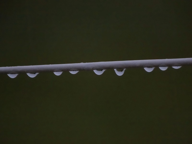 rain drops hanging on a wire fence