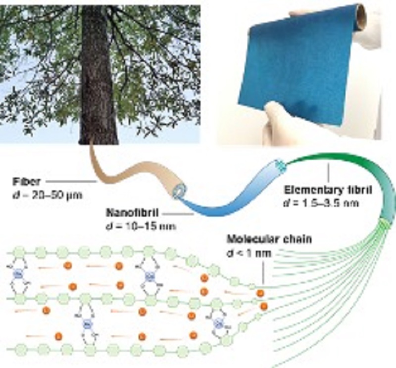 Replacing the Liquids in Batteries: from Tree products