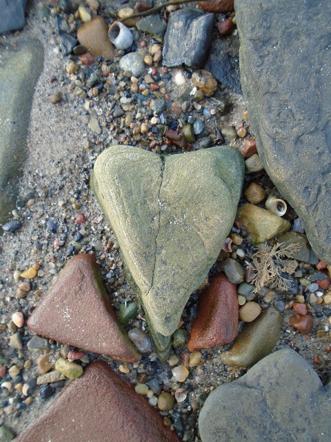 Seashore: Access For All Project