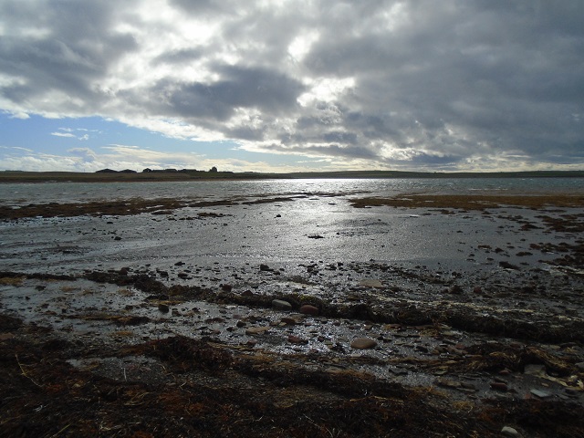 Weather Forecast: A few light showers. More persistent rain spreading north later