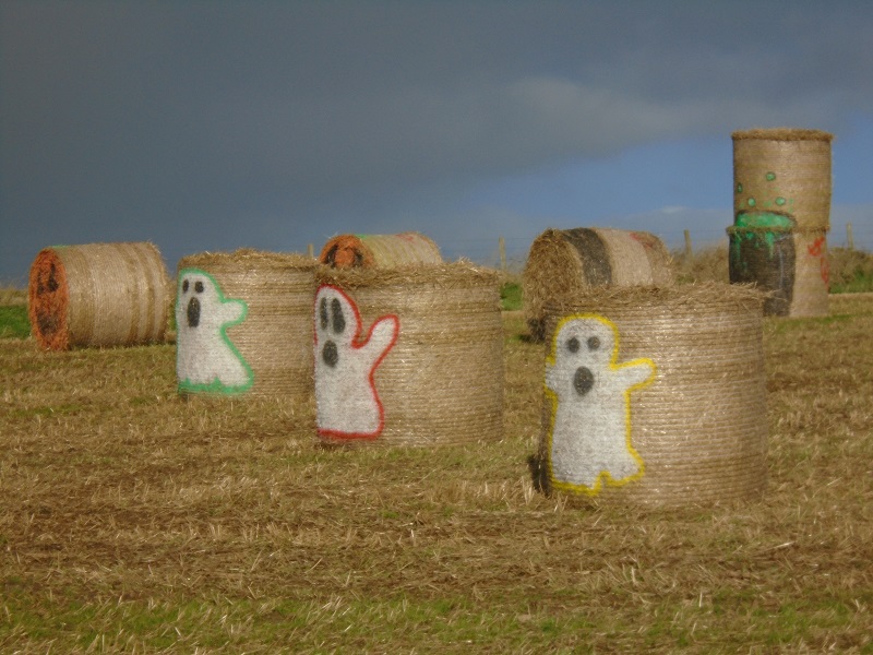 On The Way….To Newark Bay…..