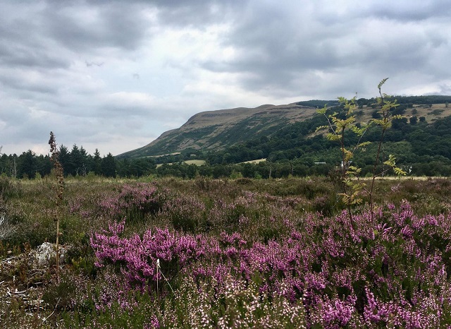 ‘Scotland small ?’