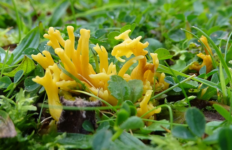 Week Forty-four – One Day At A Time