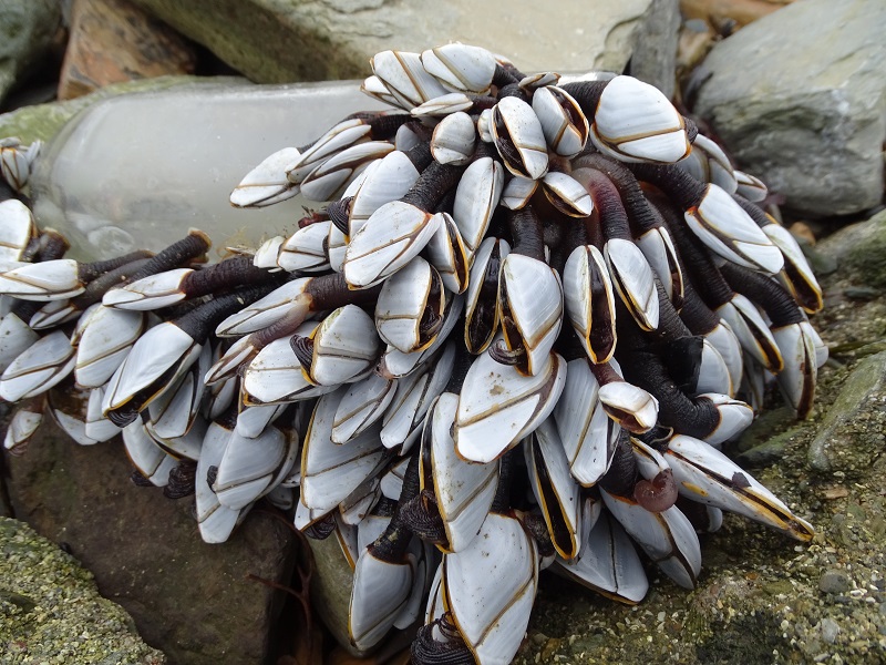 Week Forty-six – One Day At A Time