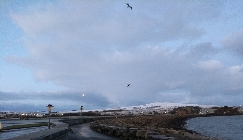 Weather Forecast: Bright with wintry showers. Easing winds. Yellow Warning Snow & Ice