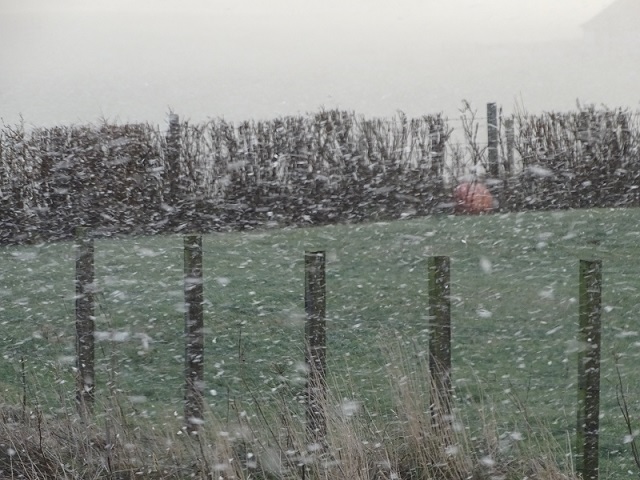 “65% of older people plan to use less heating this winter”