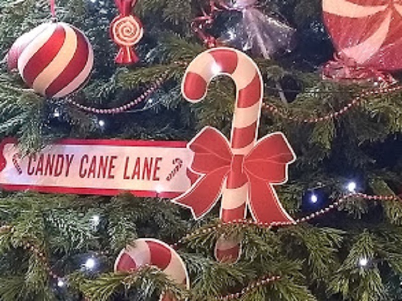 Weather Forecast: Rather cloudy but mostly dry today. Some brightness for Orkney.