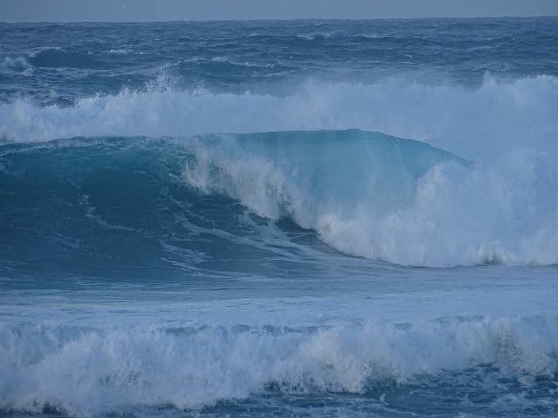 Wave Energy Propulsion to Power Ships