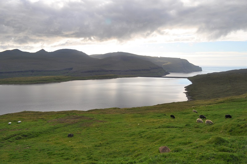 Who Were The First Faroese ?
