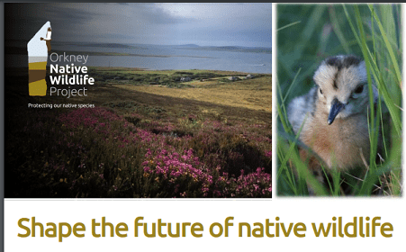 UPDATE Rousay, Egilsay and Wyre; Shape the Future of Native Wildlife NOW ONLINE