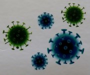 image of the Covid virus