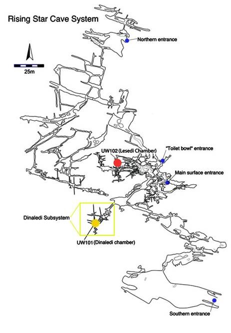 Some Homo naledi news
