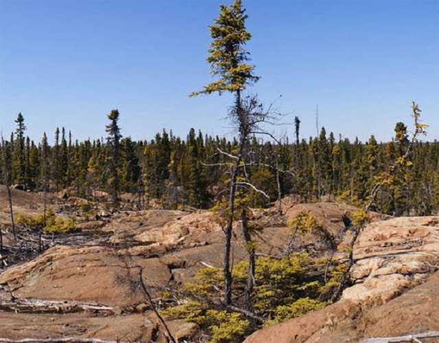 The Mid-Pleistocene Transition: when glacial cycles changed to 100 ka