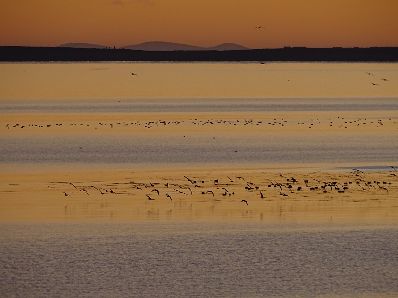 Week Fifty-two – One Day At A Time