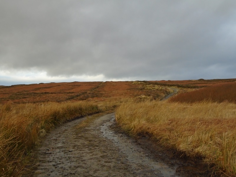 Weather Forecast: Morning rain, brighter later.