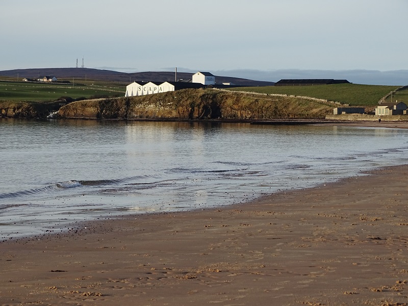 I am going, I am going, where streams of whiskey are flowing…..’ – The Pogues