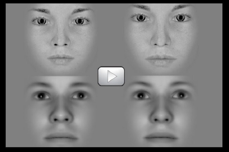 Your Brain “is like a time machine”