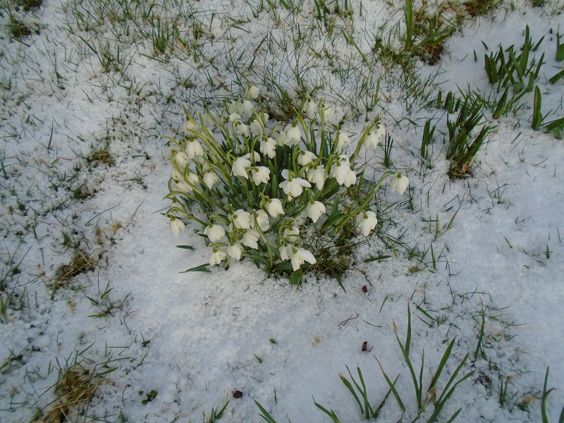 Weather Forecast: Yellow Warning Snow and Ice, Blustery wintry showers but some brighter spells too.