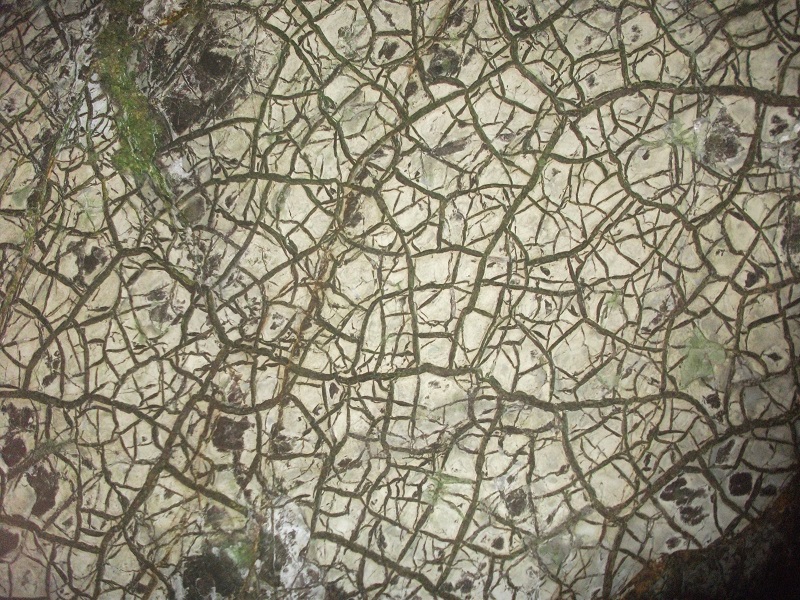 Weather Forecast: Cloudy with rain today. Drier but windy tonight.