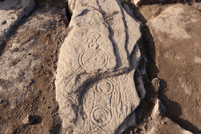 Save the Aberlemno Stone!