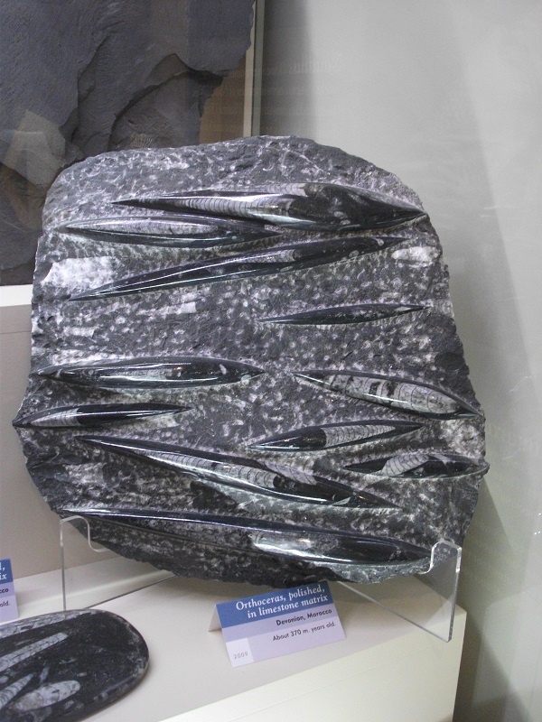 A Different Kind Of Rock Art – Part Seven