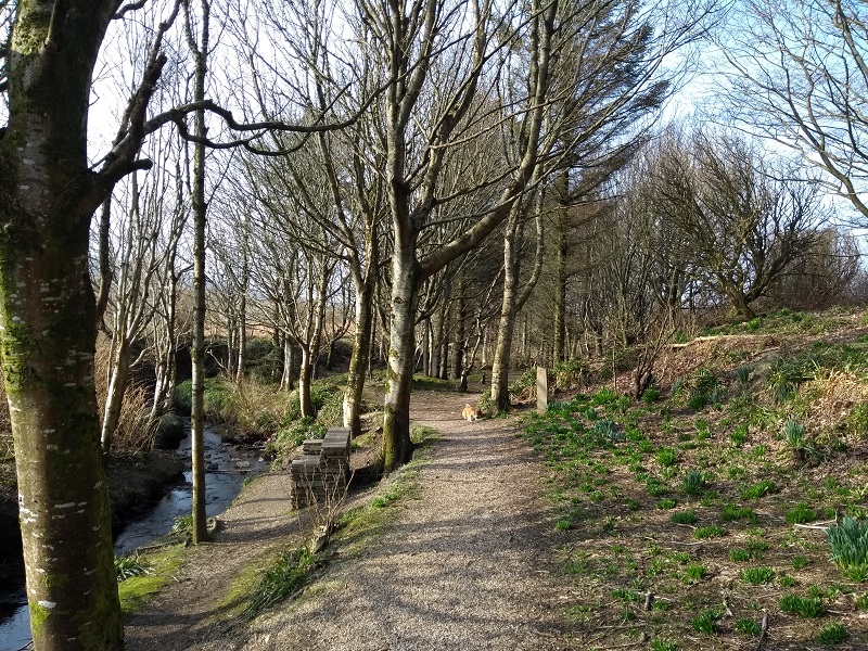 Weather Forecast: Scattered showers morning, then mainly dry Tuesday with sunny spells