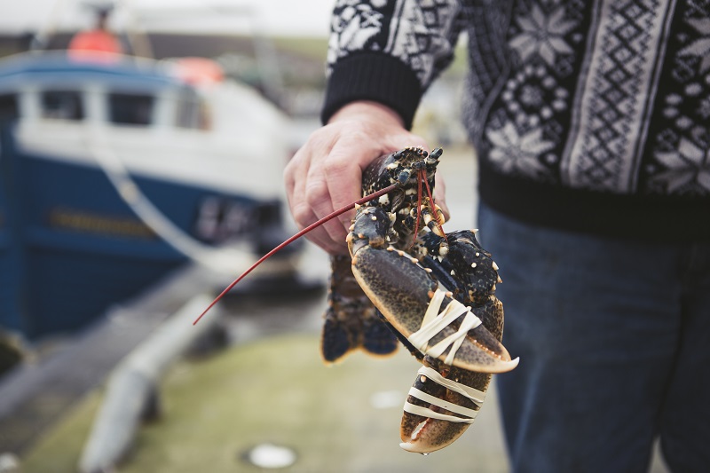 Shetlanders Seek A Taste Of Orkney