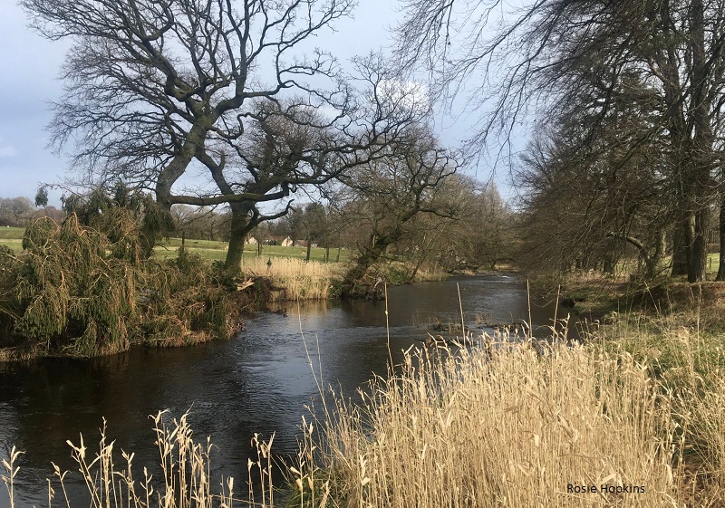 “Like some pure essence of being” #WorldWaterDay