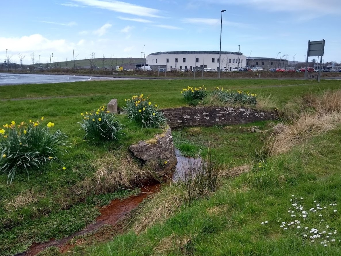 Dry with some sunshine, patchy haar.