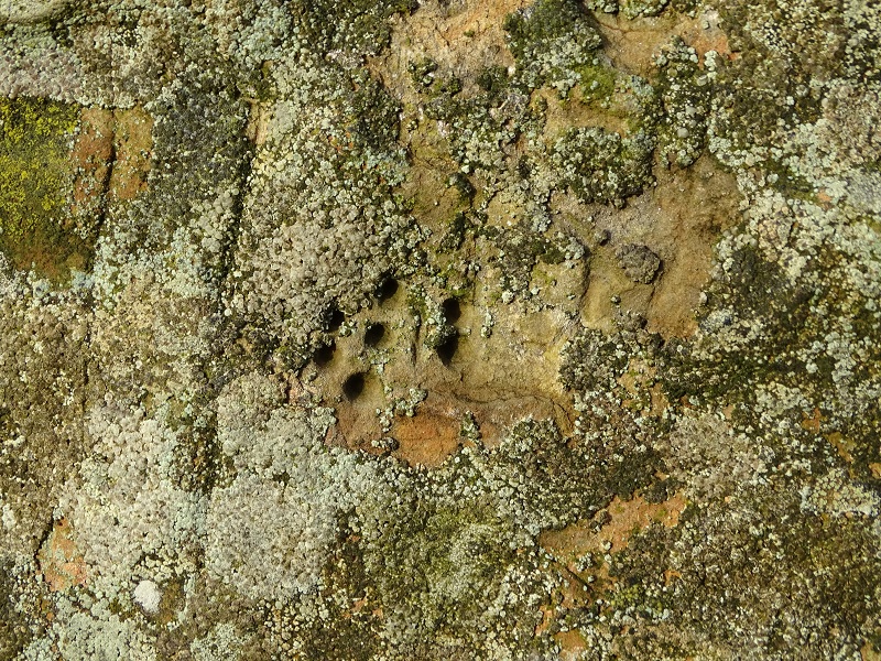 ‘I Think, Therefore I Am’  – René Descartes