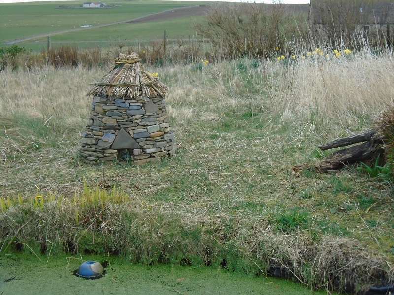 The Broch of Gorseness – As It Stands.