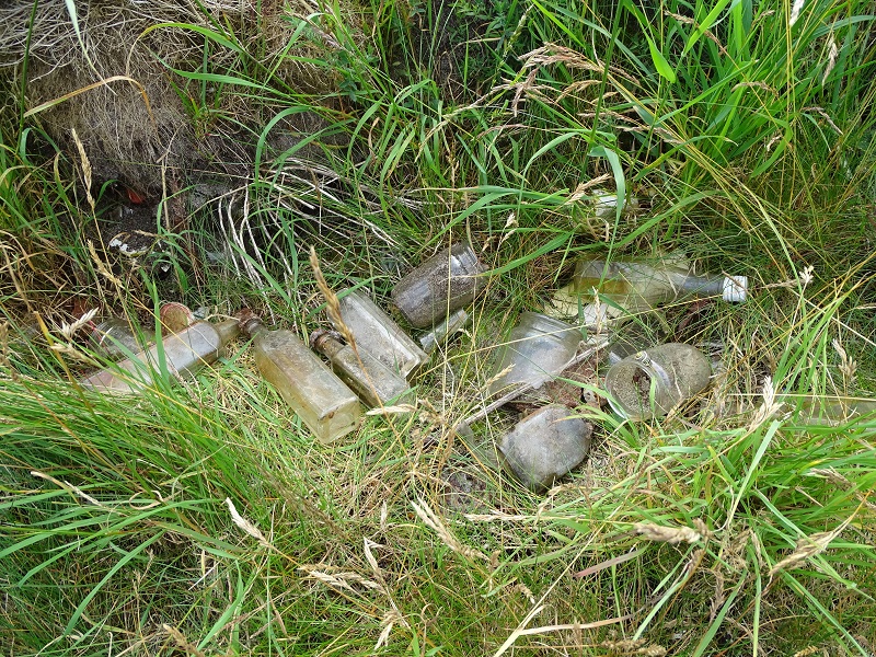 Scotland’s Deposit Return Scheme: Why is there a Stooshie ?