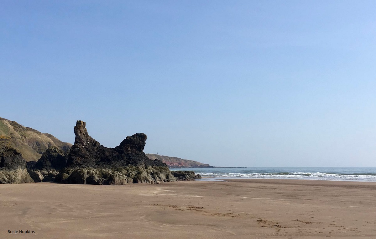 “The surface of the Earth is the shore of the cosmic ocean.” #EarthDay