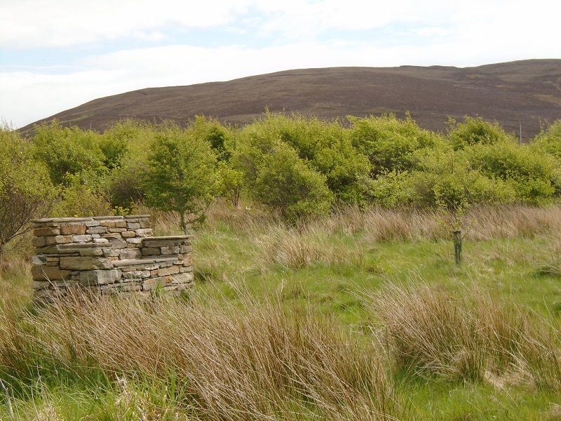 a stone seat in amongst new trees and long grass at Happy Valley woodland