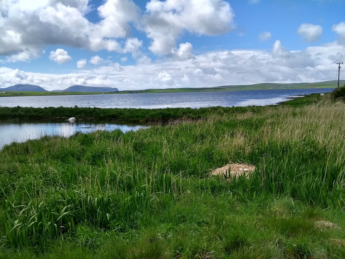 Weather Forecast: Increasing cloud then rain, turning showery later. Freshening winds.