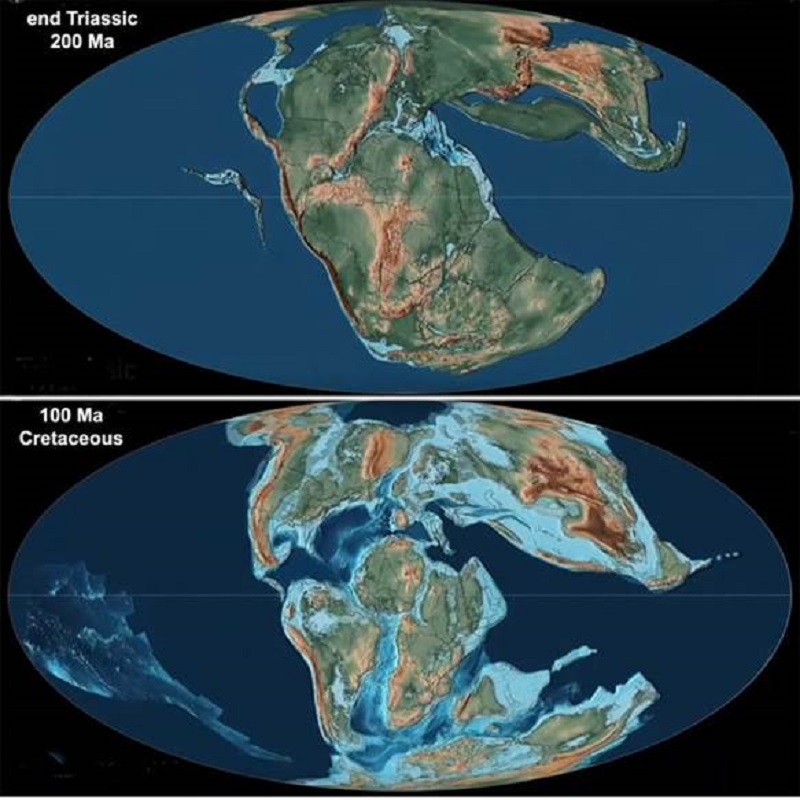 Signs of massive hydrocarbon burning at the end of the Triassic