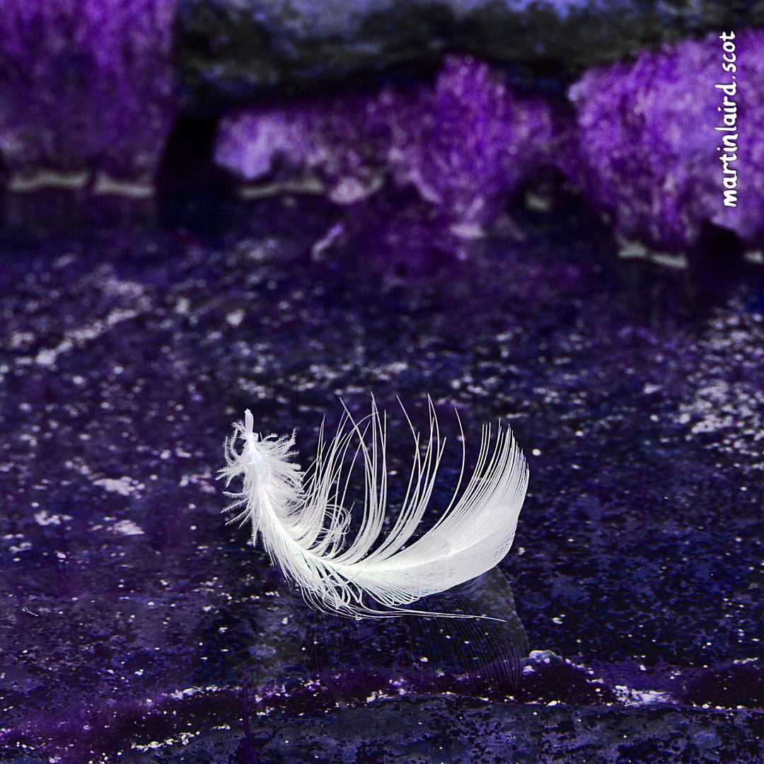 Feathers