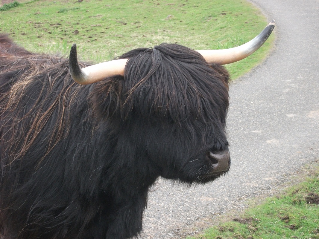 Weather Forecast: Mainly cloudy with rain at times.