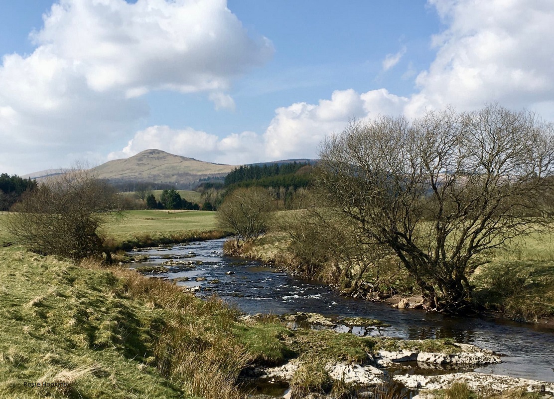 A river making its way through the landscape with a mountain in the distance