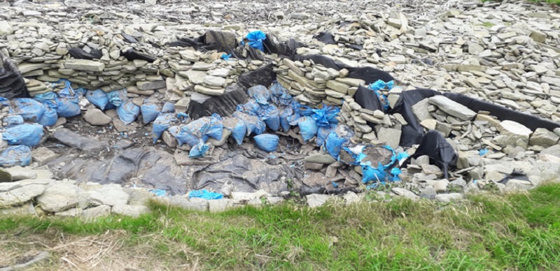 Follow, follow, follow, follow