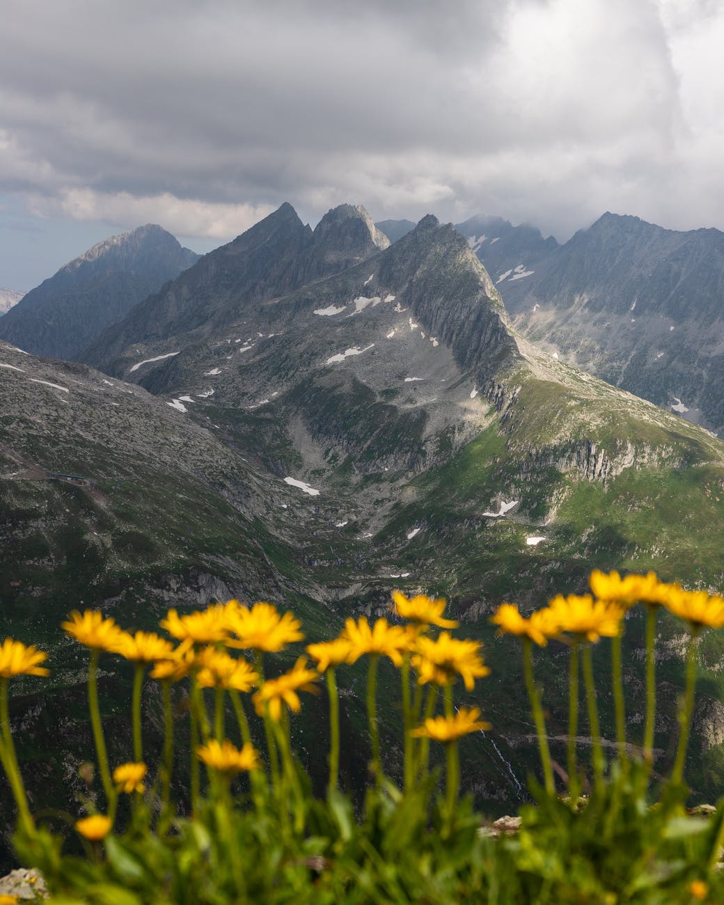 The Greening of The Alps: #ClimateChange
