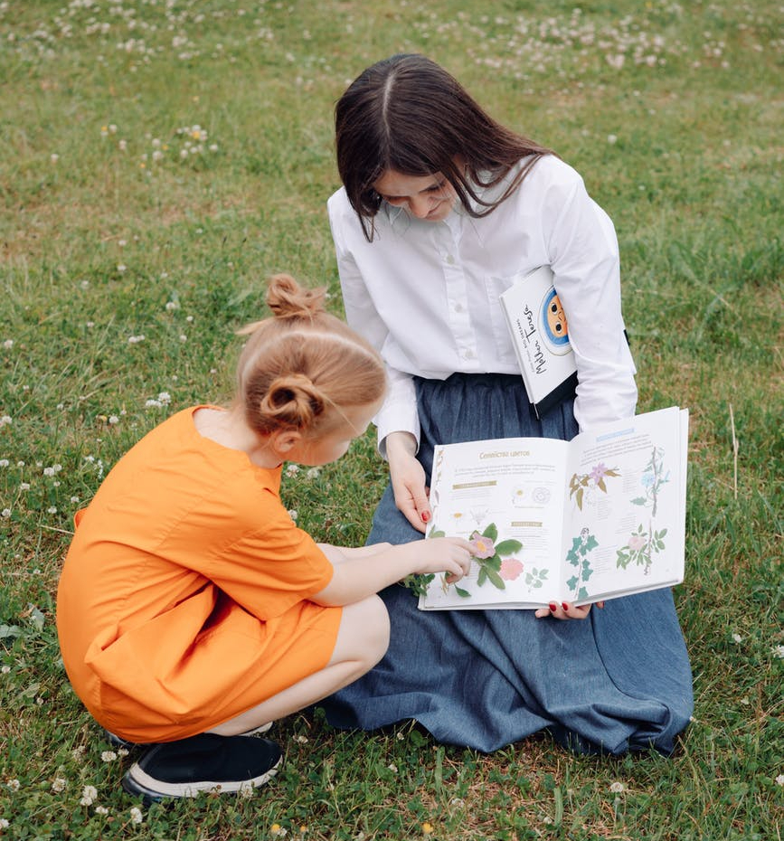 Home Education: Consultation