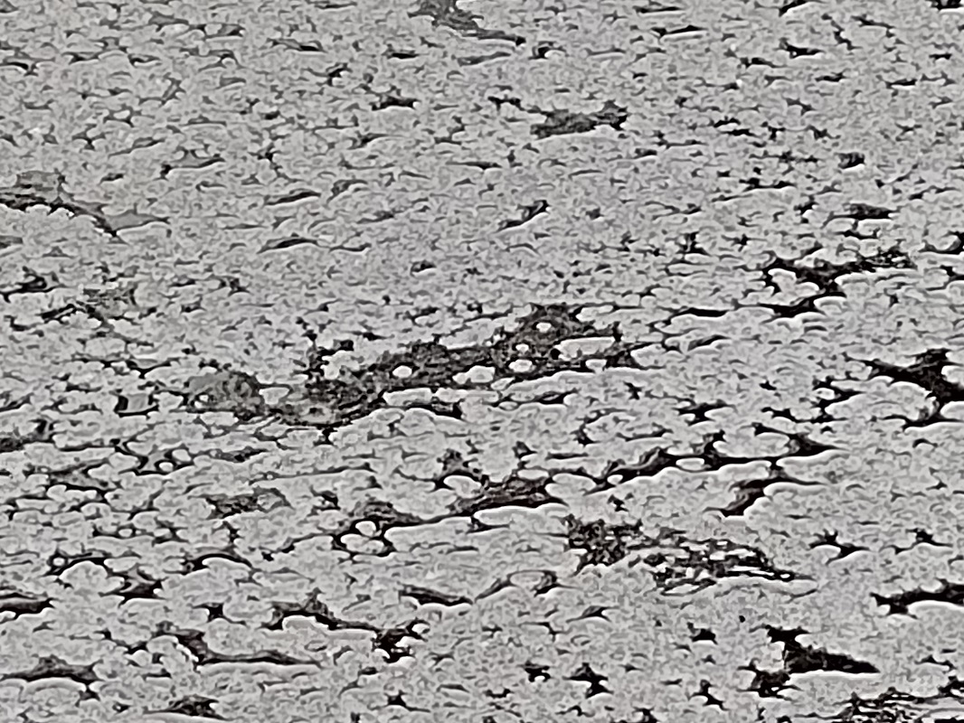 Major Flooding in Scotland ” not a normal Autumn weekend”